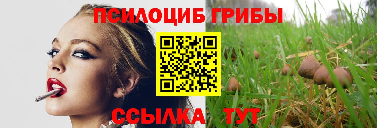 Мурино  Псилоцибиновые грибы мицелий  хочу   Вход с VPN 